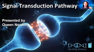 Signal Transduction Pathways [upl. by Eenafit]