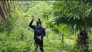 The girl went to pick Honey locust seeds and met a forest man [upl. by Siurtemed787]