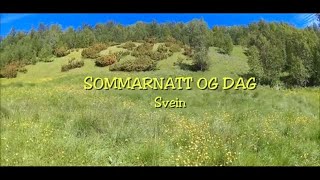 quotSOMMARNATT OG DAGquot Svein [upl. by Wonacott]