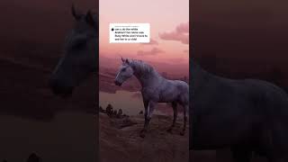 RDR2 • White Arabian and Horse herd • Red Dead Redemption 2 [upl. by Aneelas]