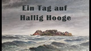 Ein Tag auf Hallig Hooge [upl. by Youlton776]