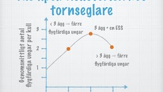 ESS och social organisation gammal [upl. by Ennasirk]