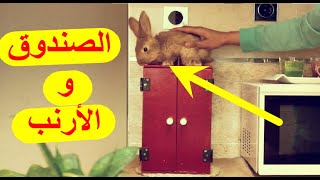 تعلم العاب الخفة  خدعة الارنب من الصندوق الفارغ  magic tricks revealed [upl. by Prima]