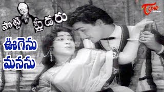 Potti Pleader Songs  Oogenu Manasu  Geethanjali  Sobhan Babu  OldSongsTelugu [upl. by Jeremie]