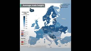 Average Male Height in European Countries map europe height male youtubeshorts [upl. by Lartnom]