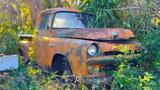 Abandoned Dodge Pickup Will It Run After Being Parked 32 Years [upl. by Lamraj452]