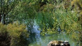 LE LAC SAINT CASSIEN [upl. by Leyes651]