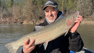 Clearwater Weekly Steelhead Report 21224 Fishing is picking up with better water [upl. by Hjerpe]