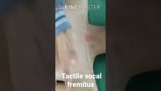 Tactile Vocal Fremitus [upl. by Ignacius]