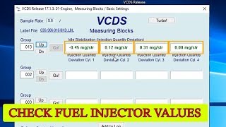 How to check fuel injector values with VCDS VAGCOM for VW Audi Seat Skoda [upl. by Nereids]