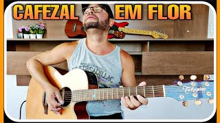 🌍Meu Cafezal em Flor Música Toda Solada no meu Violão Caipira para o Mundo Inteiro [upl. by Styles558]