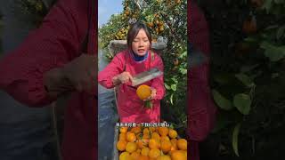 Satisfying fresh fruit mango apple fruit shorts [upl. by Lipps]