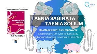 Taenia saginata and solium Parasitology Tutorials NEETPG NEXT USMLE UKMLE FRCPath Review [upl. by Harwill]