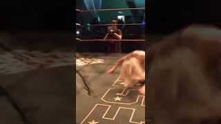 Scarlett Bordeaux DESTROYS Jacob Fatu [upl. by Willette]