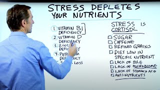 How STRESS Robs You of These Vitamins [upl. by Story181]