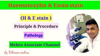 Haematoxylin amp Eosin H amp E Stain  Histopathology  MAC by vikram mehra [upl. by Flosser696]