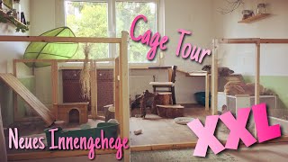 Neues XXL Innengehege für Kaninchen  Cage Tour [upl. by Gridley178]