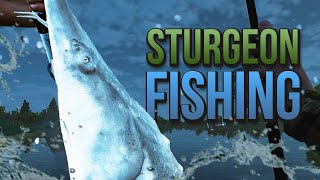 3 ways to Fish for White Sturgeon at San Joaquin Delta in Fishing Planet [upl. by Pelpel]