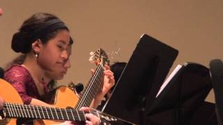 Long Island Guitar Festival Orchestra plays Tin Whistle Suite II Banks of Spey arr Alan Hirsh [upl. by Jacoby604]