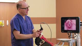 Optimal GlideScope Hyperangulated Blade Positioning Technique by Dr Rich Levitan [upl. by Rhpotsirhc]