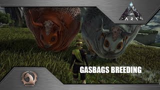 Ark Survival Evolved  Breeding Gasbags [upl. by Elbring]