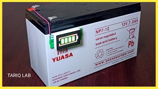 12V Battery Capacity Indicator [upl. by Harrod]