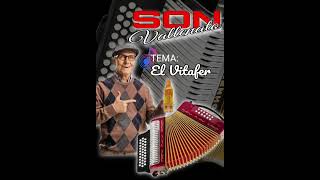 tema promocional 2025 el vitafer del son vallenato [upl. by Sefton]