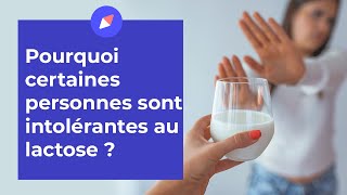 Intolérance au lactose  les aliments à éviter et à privilégier  Coaching Nutrition [upl. by Ennayoj]