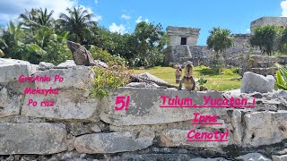 GrzAnki Po Meksyku po raz 5 Tulum Yucatan i inne Cenoty [upl. by Ula294]