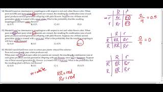 Probability  using genetics to determine probability of outcomes [upl. by Ehcram906]