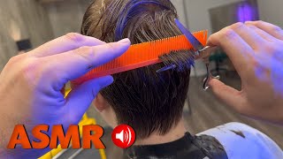 ASMR Scissor Cut  Mens Haircut Whole Head with Scissors  No Talking [upl. by Armstrong473]