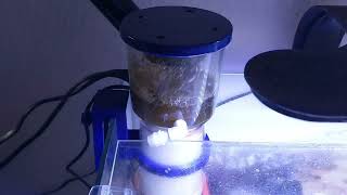 IOAOI Nano 50D protein skimmer part 2 adjustments [upl. by Wendie]