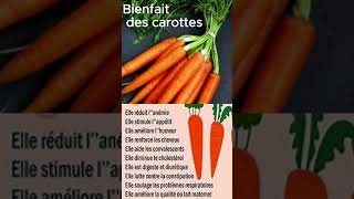 Bienfaits des carottes [upl. by Annohsat738]