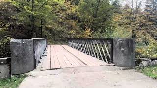 Borjomi National Park Georgia [upl. by Ruelu]