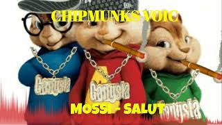 MOSSI  SALUTE Chipmunksofficial [upl. by Onyx]