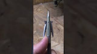 BEAST broadhead is epic broadhead short [upl. by Enelhtak]