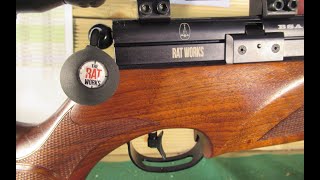 The BSA R10 Mk2 Ratworks tuned rifle Initial tests [upl. by Salvatore379]