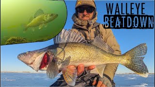 Ice Fishing INSANE School of Walleyes on Early Ice [upl. by Alyehc343]