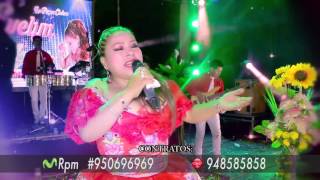 Evelyn Aguilar en vivo quotQuisiera irmequot Prod GUTIERREZ 2016 [upl. by Luapnaes4]