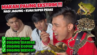 MAKAN DAGING BIAWAK amp ULAR SUPER PEDAS [upl. by Hatcher]