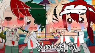 Q and A with BNHA TdKrDkBk Part 13 [upl. by Waite609]