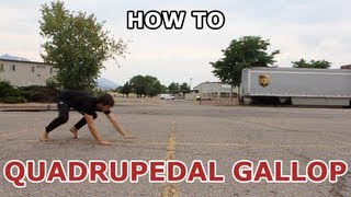 How to QUADRUPEDAL GALLOP beginner parkour tutorial [upl. by Callista247]