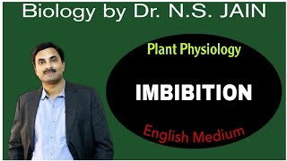 Imbibition Plant Physiology  English Medium [upl. by Calie]