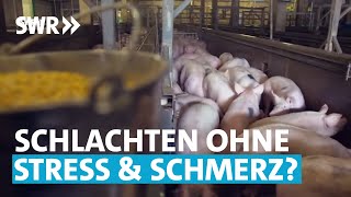 TierschutzZukunft Besser schlachten  SWR Wissen [upl. by Akienahs]