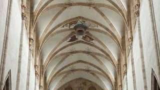 Evangelische Domkirche  Ulm Deutschland  Orgel [upl. by Lanni877]