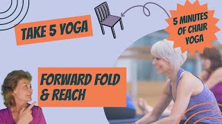 Chair Yoga for Seniors amp Beginners  Forward Fold amp Reach [upl. by Norling]