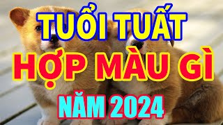 Tuổi Tuất hợp màu gì năm 2024 mang lại may mắn tài lộc mauhoptuoituat tuoituat2024 tuvituoituat [upl. by Llednar]