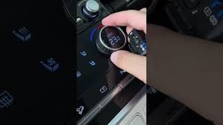 New Hyundai Santa FE Review short shorts [upl. by Gabbie173]