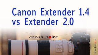 Canon extender 14 x TC vs 2x TC a confronto  recensione [upl. by Ydisac]