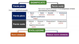 La morfologia il nome il significato [upl. by Siram]